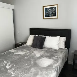 Spacious 1 Bedroom Apartment, With Pull Out Couch Apartment